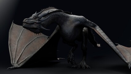Wyvern Type Dragon 2 of background. 3d model rendering