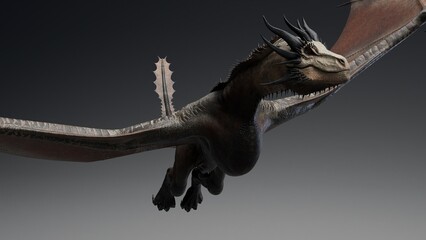 Wyvern Type Dragon 2 of background. 3d model rendering