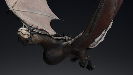 Wyvern Type Dragon 2 of background. 3d model rendering