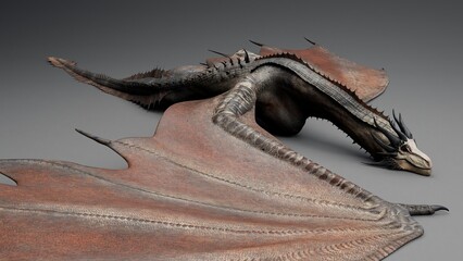 Wyvern Type Dragon 2 of background. 3d model rendering