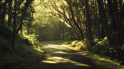 Obraz premium A serene winding road through a lush, sunlit forest.