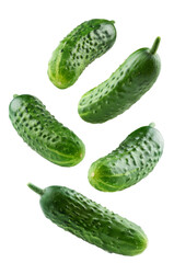 Fresh green cucumbers tumbling against a clear backdrop, ideal for food and drink promotions