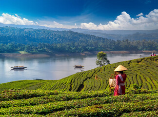 Dibrugarh: The Tea City of India
