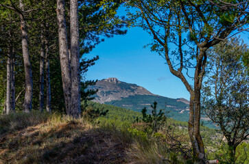 Views of high mountains and peaks from pine forests in Spain