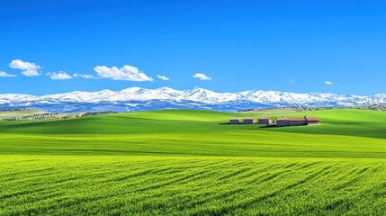 Obraz premium Scenic landscape featuring green fields and snow-capped mountains under a clear blue sky.