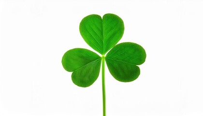 Vibrant Three Leaf Clover with Reflection on White Background. Symbol of Luck, Prosperity, and St. Patrick's Day Celebrations, Ideal for Festive Greeting Cards, Posters, and Social Media Graphics