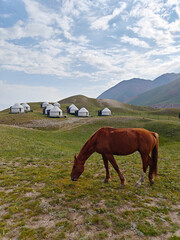 A horse grazes peacefully in a green valley near a cluster of traditional yurts beneath a clear sky