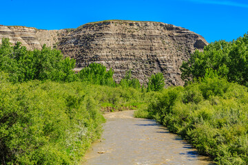 A path runs through a lush green forest with a river running alongside it