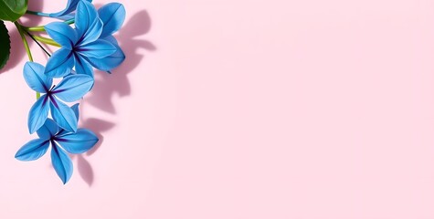 Obraz premium frame with flowers