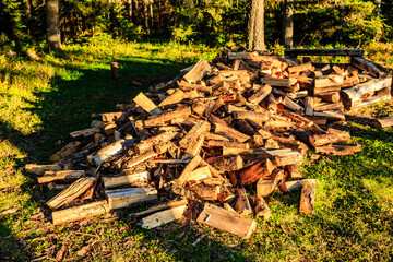 A pile of wood is on the ground in a grassy area