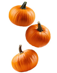 Three ripe pumpkins suspended on a clear backdrop, ideal for fall themed creations and halloween endeavors