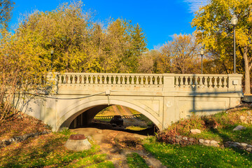 A bridge with a lot of trees and leaves on it