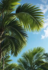 Exotic tropical palm leaves against a clear blue sky, tropical, freshness