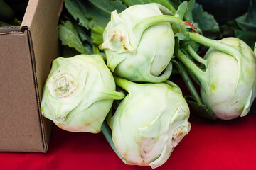 Unique green kohlrabi vegetables displayed at a local farmer's market during the morning hours