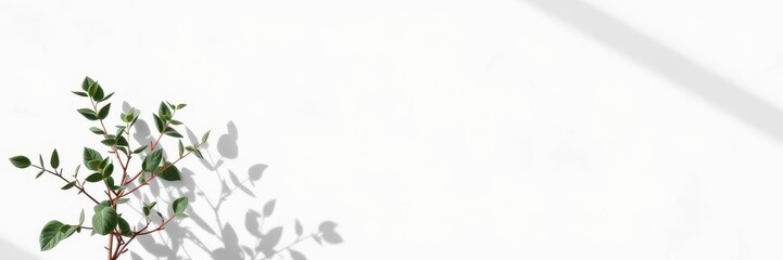 An open magazine mockup lying on a customizable background with plant shadows cast on it, perfect for showcasing design or editorial content, open, creative, design