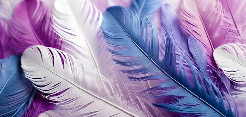 Fototapeta premium an abstract background of blue and violet feathers, soft focus romanticism, colorful curves, light magenta and white 