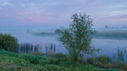 lake and trees