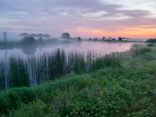 morning mist over the river