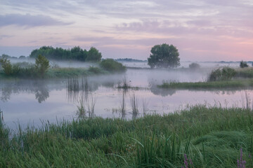 morning on the lake