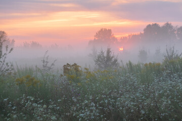 misty sunrise over the river