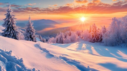Serene winter landscape at sunrise with snow-covered trees.