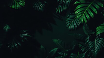 Fototapeta premium Dark pattern featuring exotic leaves in a moody and mysterious atmosphere, tropical, nature, shadow
