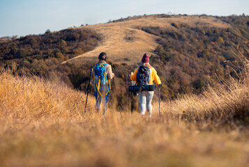 Rear view two woman hiking at top of the hill at meadow.