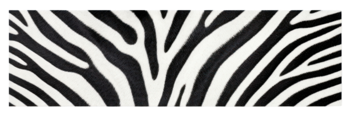 PNG Zebra pattern adhesive strip animal mammal