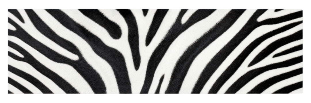 PNG Zebra pattern adhesive strip animal mammal