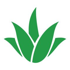 Aloe Vera icon vector, green color aloe vera icon,  aloe vera green plant isolated on white background. 