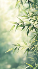 Fototapeta premium Bamboo leaves swaying in the wind