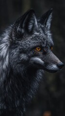 A close-up of a wolf with striking black fur and bright orange eyes, set against a dark background.