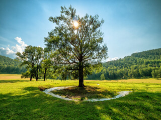 Fototapete bei efototapeten.de bestellen   