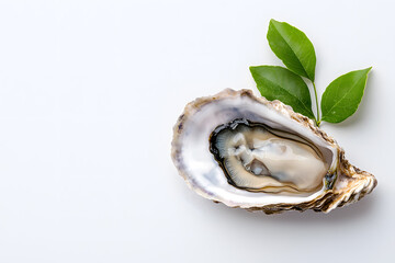 Naklejka premium Oyster top view isolated on white background