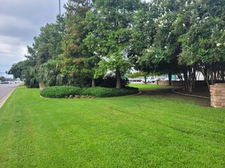 garden in the park