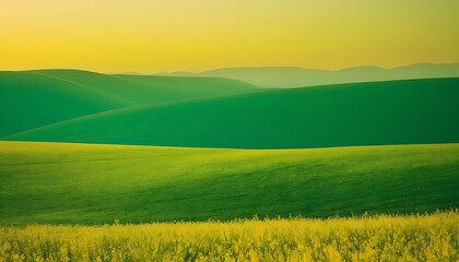 Fototapeta premium green field and blue sky