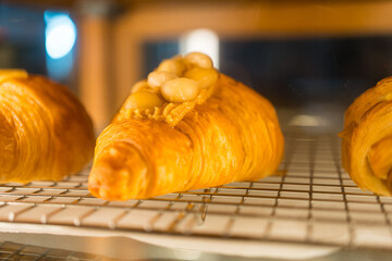 Fresh tasty croissants placed on grid in a showcase at the coffee shop