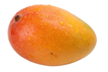 mango on white background