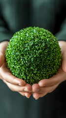 Green Plant Sphere in Hands Illustration