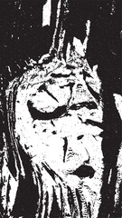 Black tree bark texture. Bark on a white background. Old tree background vector, wooden, grunge texture.