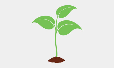 Young plant art vector  
 illustration art silhouette design