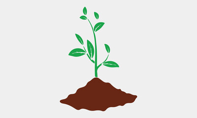 Young plant art vector  
 illustration art silhouette design