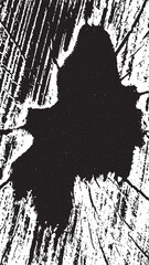 Black tree bark texture. Bark on a white background. Old tree background vector, wooden, grunge texture.