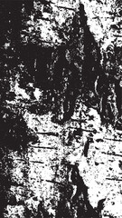 Black tree bark texture. Bark on a white background. Old tree background vector, wooden, grunge texture.