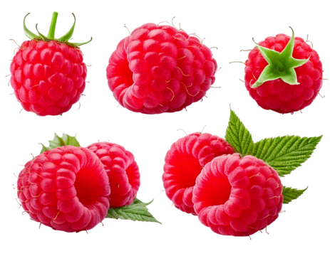 A set of raspberry, isolated difference type on white background