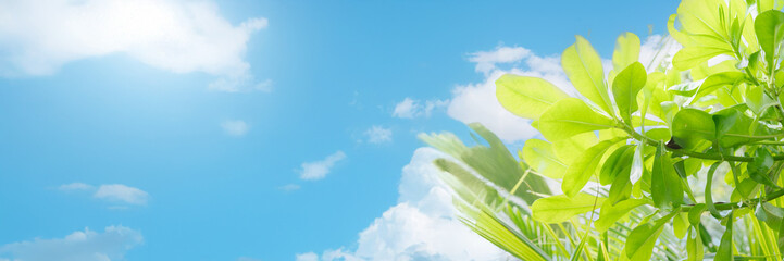 Palm leaves create a tranquil frame around a beautiful tropical sea view under bright sunlight.