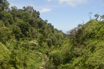 The dramatic and stunning lush green coastal landscapes of Maui Island, Hawaii