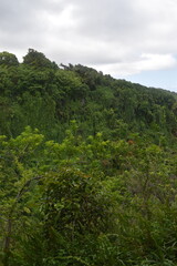 The dramatic and stunning lush green coastal landscapes of Maui Island, Hawaii
