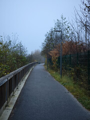 Fototapeta premium Foggy path winding through autumnal landscape in chamonix, france November