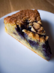 Delicious slice of blueberry cake resting on white plate